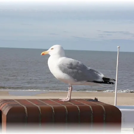 Haus Wattenblick Og Lägenhet Morsum (Sylt)