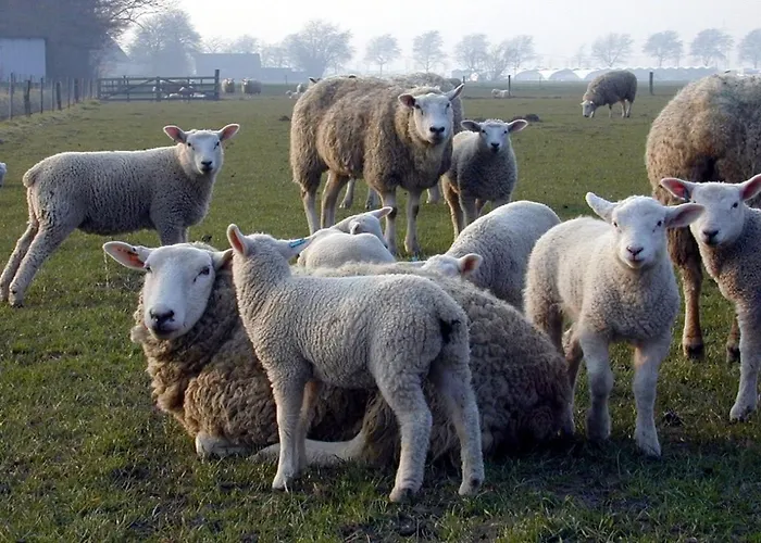 Haus Wattenblick Og *