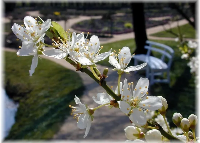 Apartamento Haus Wattenblick Og
