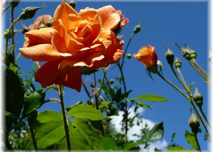 Haus Wattenblick Og *